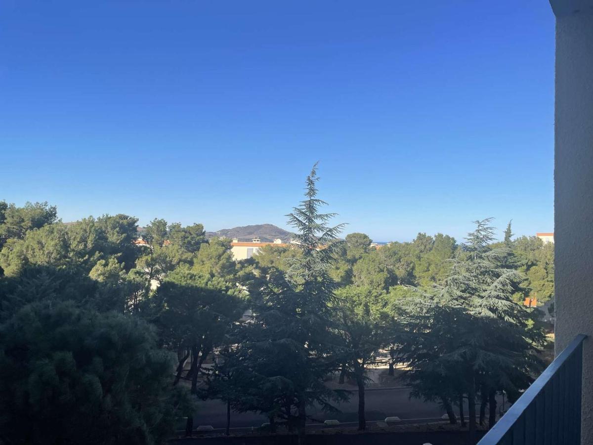 Appartement Renove Avec Clim, Parking Et Terrasse A 500M Du Port - Fr-1-225C-113 Banyuls-sur-Mer Esterno foto