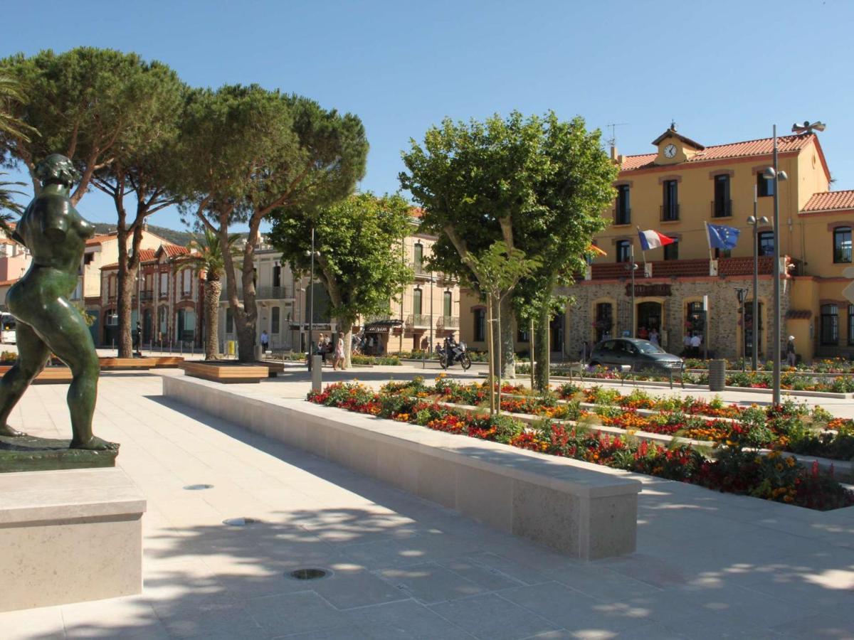 Appartement Renove Avec Clim, Parking Et Terrasse A 500M Du Port - Fr-1-225C-113 Banyuls-sur-Mer Esterno foto